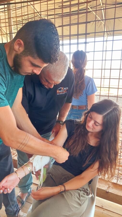 קורס עזרה ראשונה בתנאי שטח למדריכי רכיבה על סוסים — תמונה 2 מתוך 2